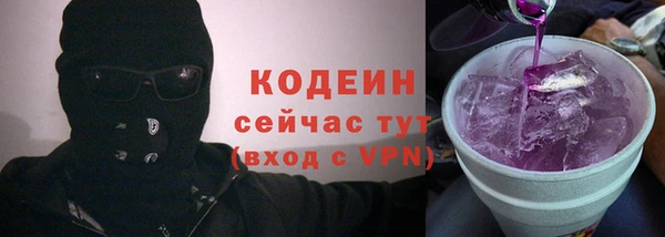 СК Няндома