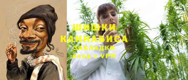 СК Няндома