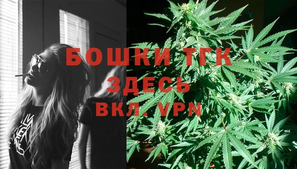 первитин Новозыбков